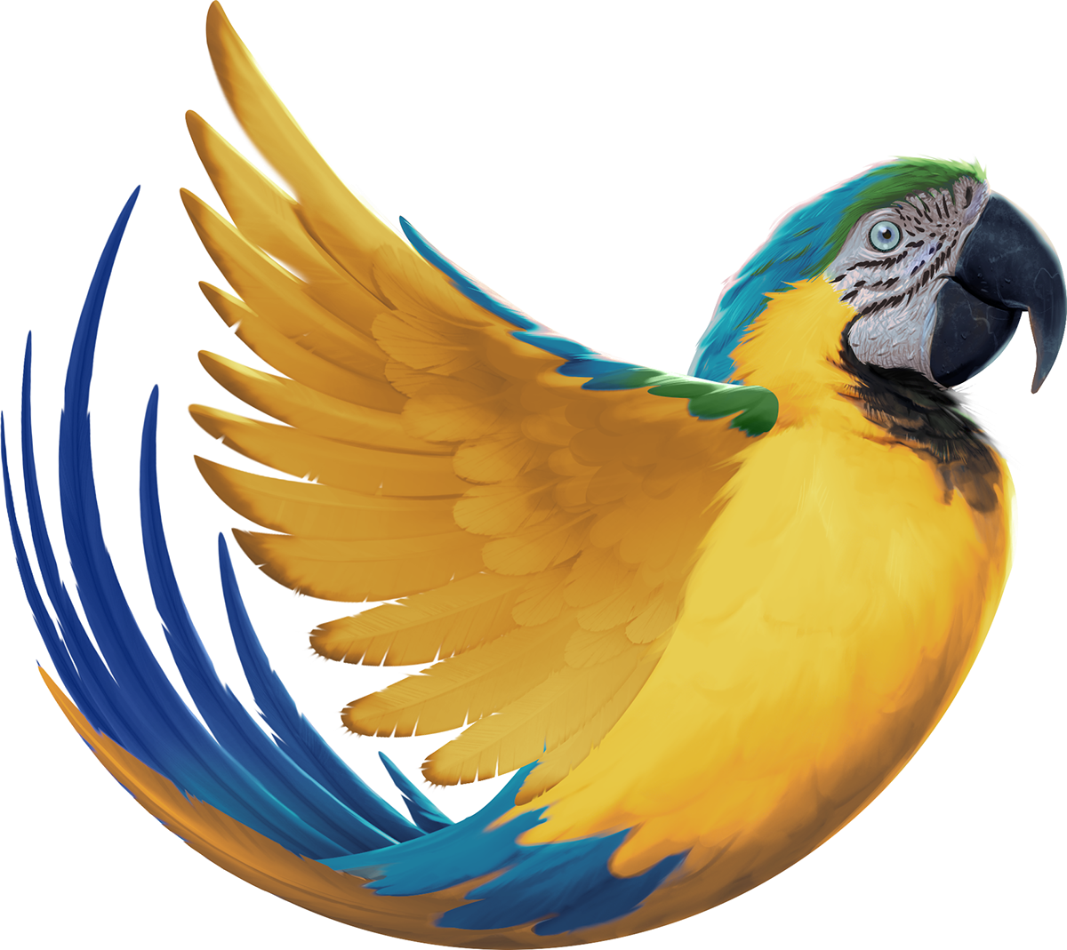 Sign Up To Join The Conversation - Macaw (1200x1069), Png Download