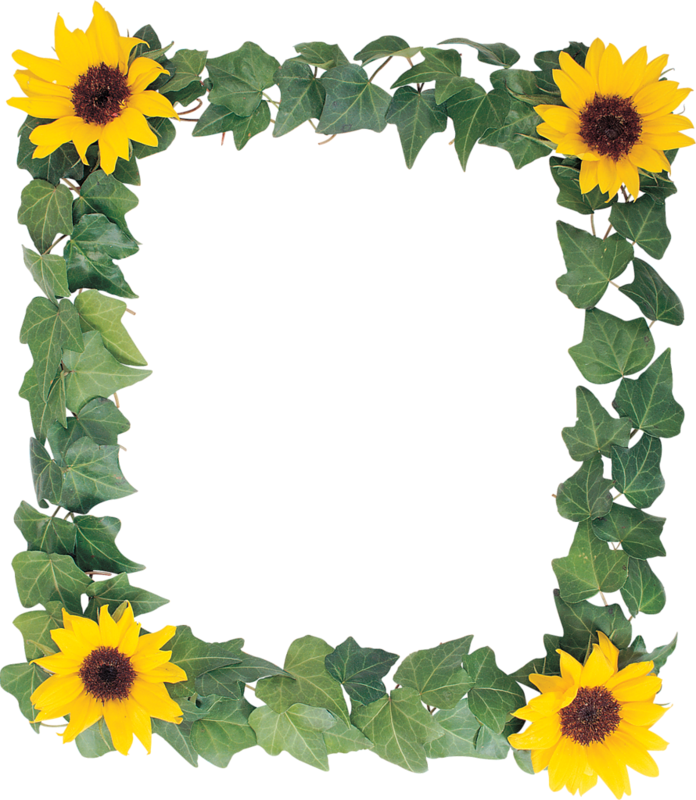 Discover Ideas About Sunflower Png - Frames Sunflowers Design Png (696x800), Png Download