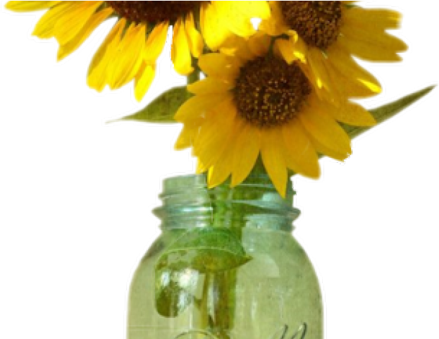 Drawn Mason Jar Sunflower Png - Sunflower In Mason Jar Png (640x480), Png Download