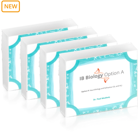 Ib Physics Flashcards (600x600), Png Download