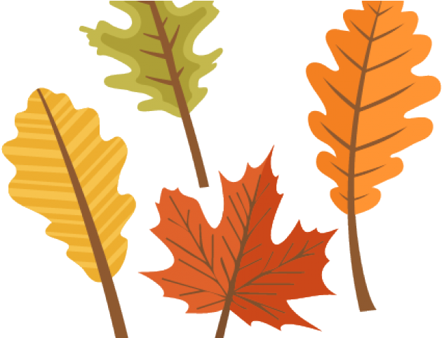 Autumn Clipart Cute Leaves (640x480), Png Download