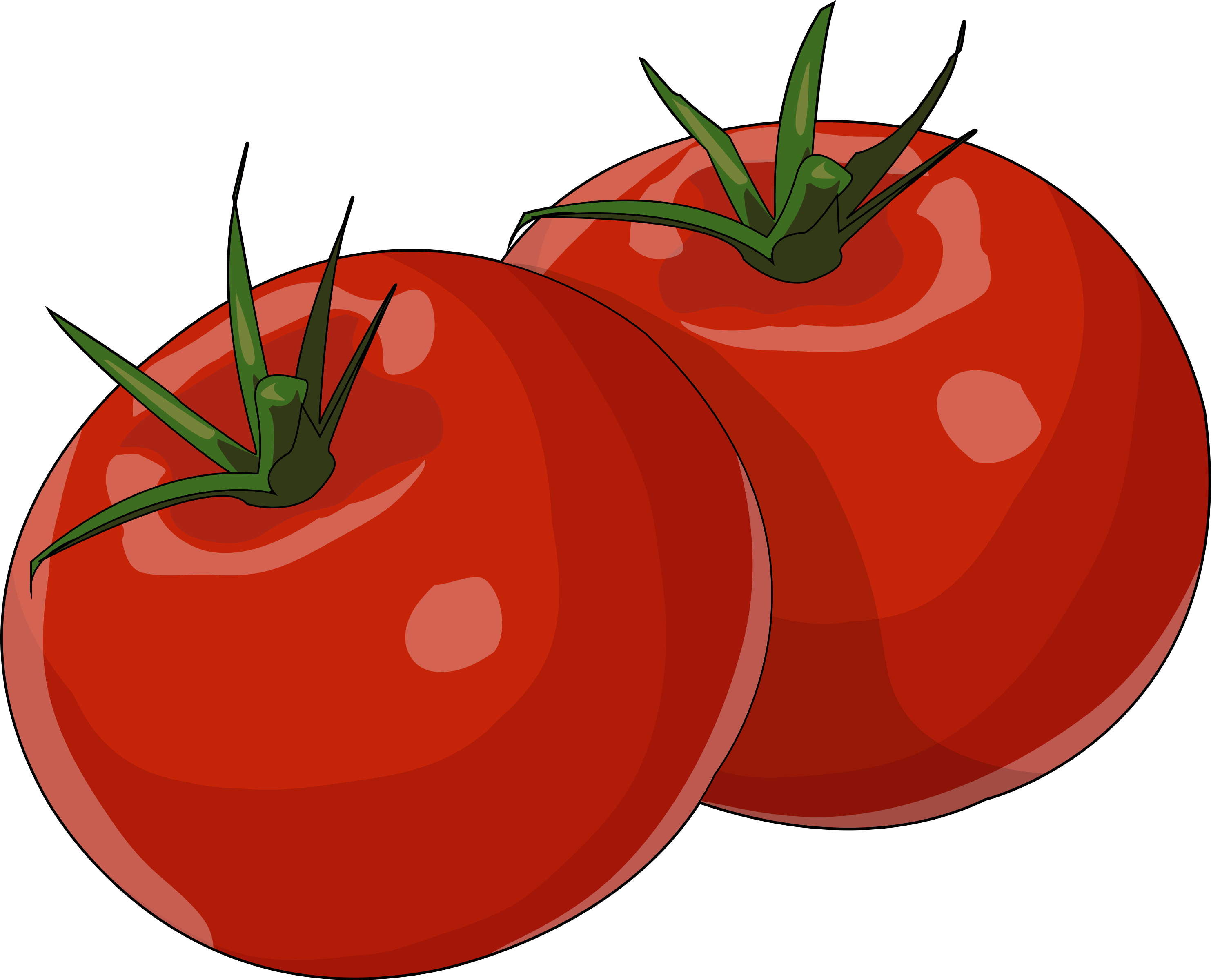 Tomate - Tomate Png (3508x2480), Png Download