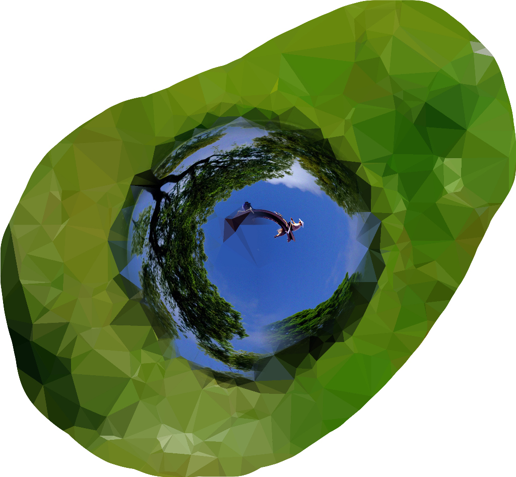 Aguacate Sticker - Reflection (1024x947), Png Download