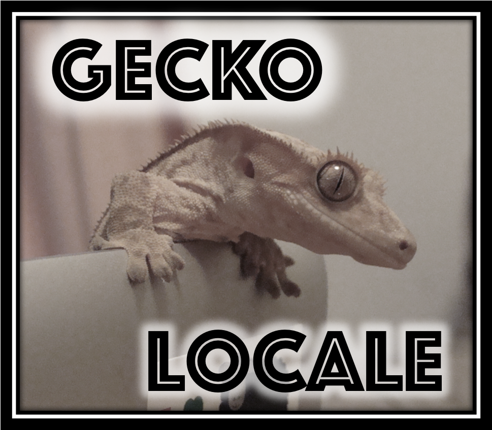 About Gecko Locale - Fotobudka (1275x1042), Png Download