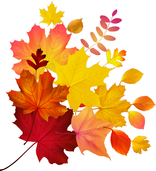 Autumn Color Leaf Maple Royalty-free Download Hq Png - بصيغة Png ملايين Hd Png (547x599), Png Download