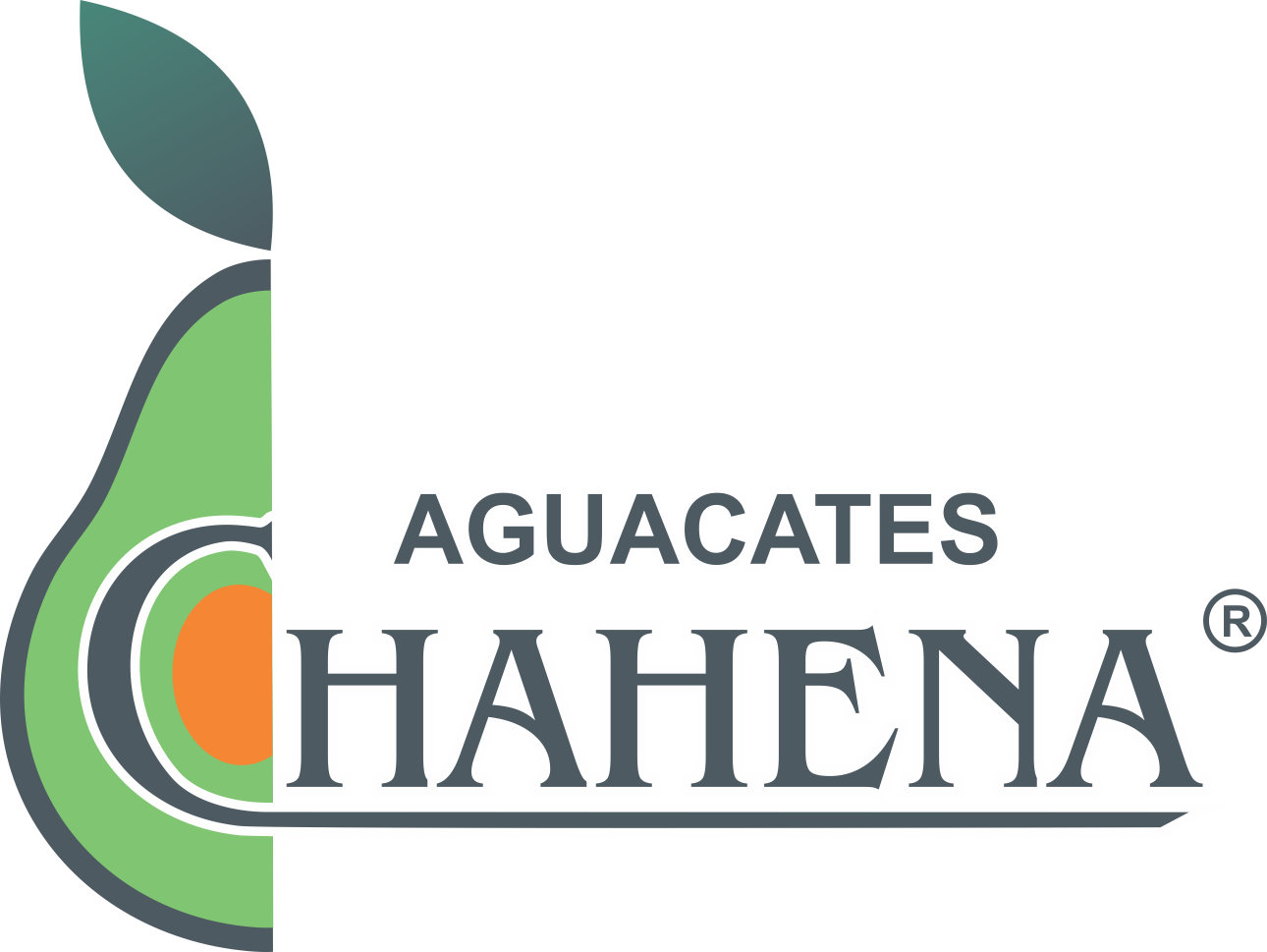 Aguacates Chahena Y Mas Sa De Cv (1290x969), Png Download