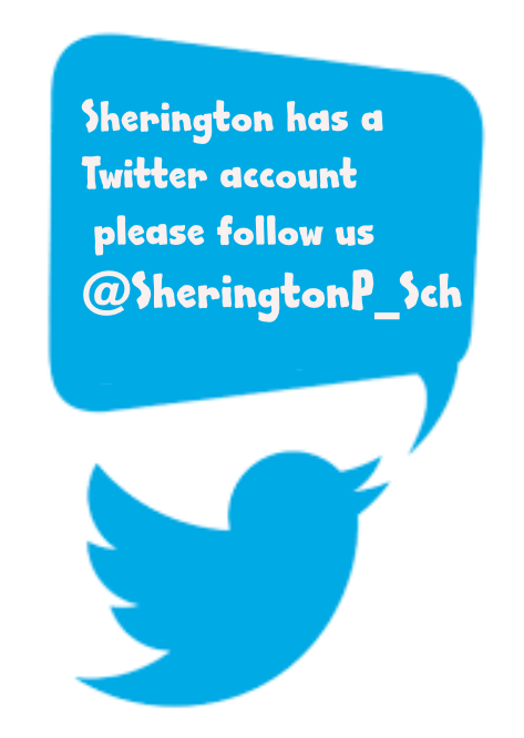 Quotes - Twitter (794x1123), Png Download