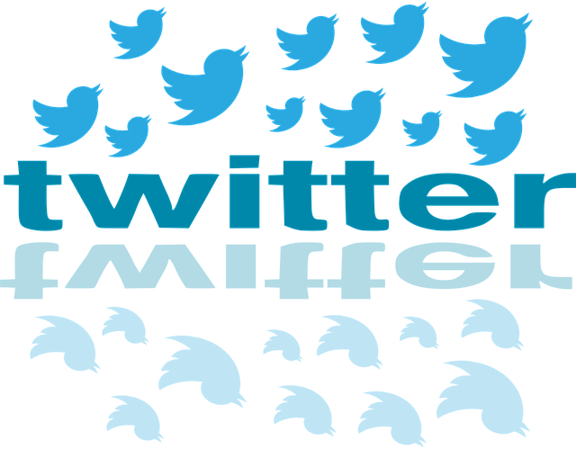 30 Cuentas De Twitter Con Ofertas De Trabajo - Comunicacion Twitter Png (640x499), Png Download