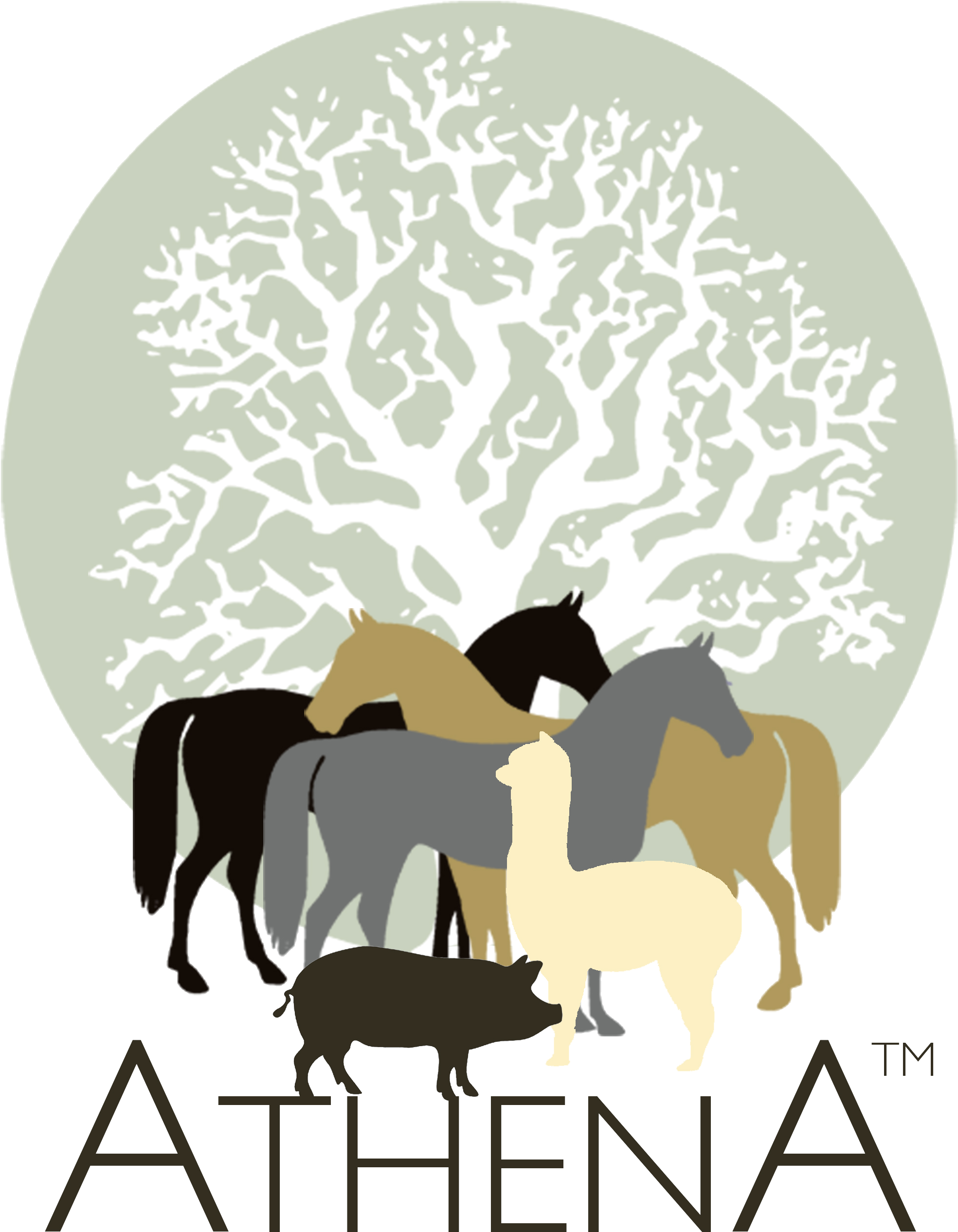 Athena Herd An International Learning And Development - Cartar De Um Jardineiro (2362x2858), Png Download
