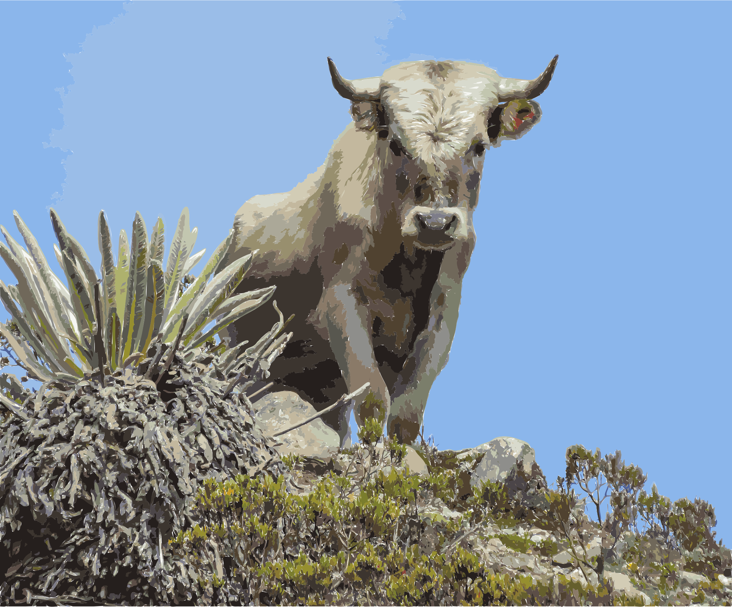 This Free Icons Png Design Of Charolais Cattle, Sierra (2400x1991), Png Download