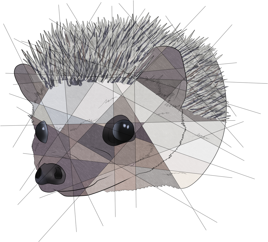 Geometric Hedgehog @poppy-hedgie $20 Geometric Commissions - T-shirt (1280x1280), Png Download
