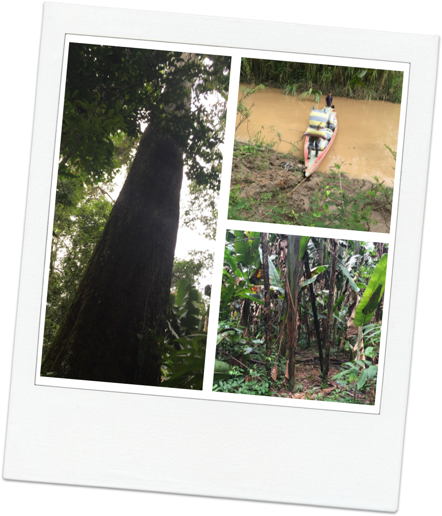 Picmonkey Collage - Picture Frame (905x1056), Png Download