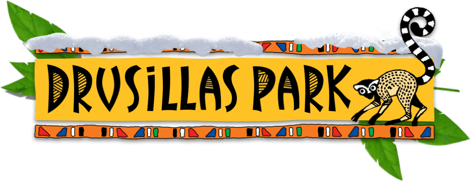 Drusillas Park Logo (932x360), Png Download