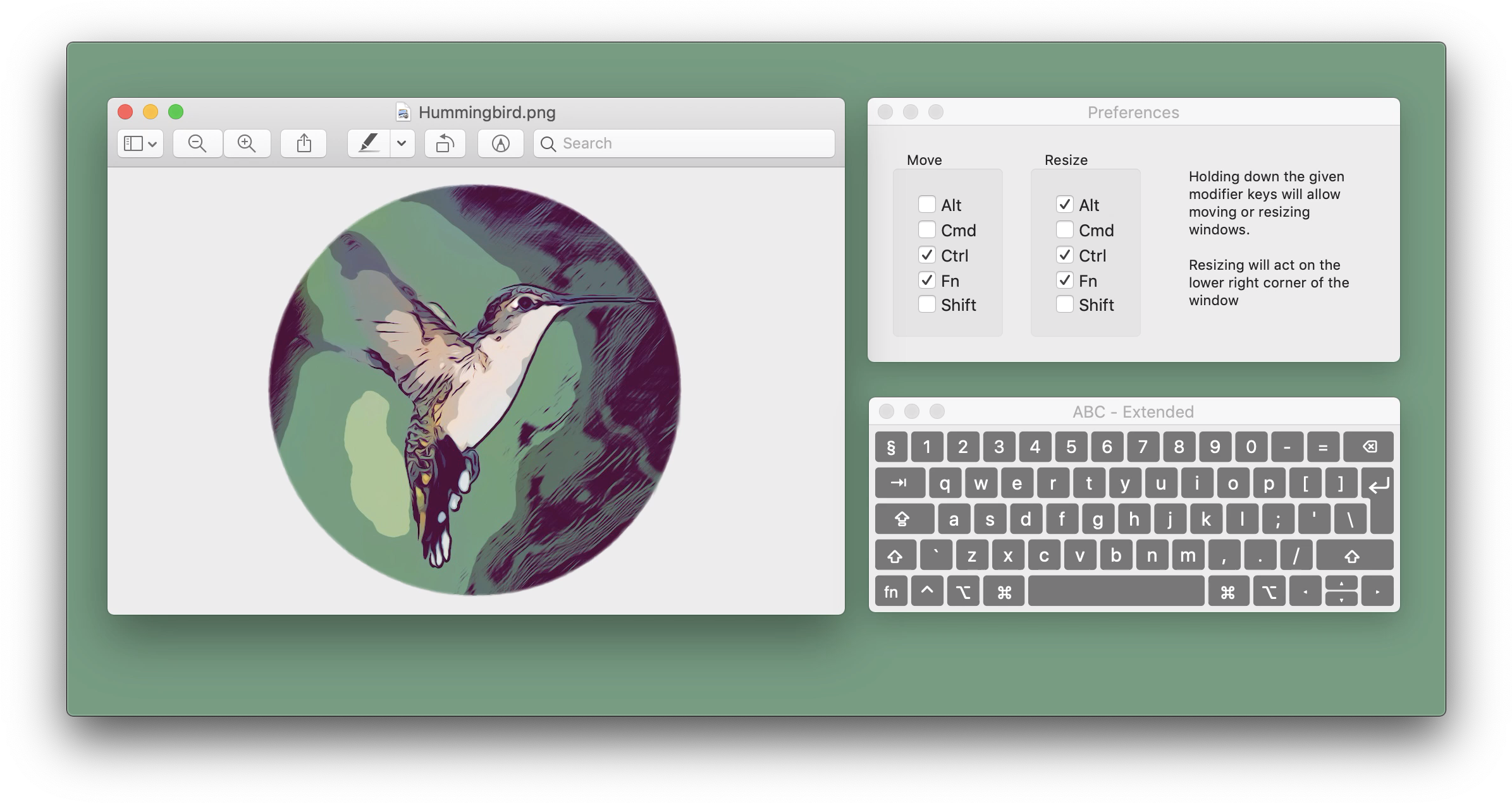 Hummingbird Move And Resize Windows Anywhere Within (2404x1290), Png Download