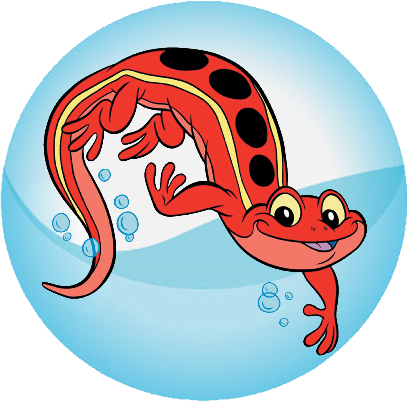 Salamander - Red Cross Salamander (2000x2000), Png Download