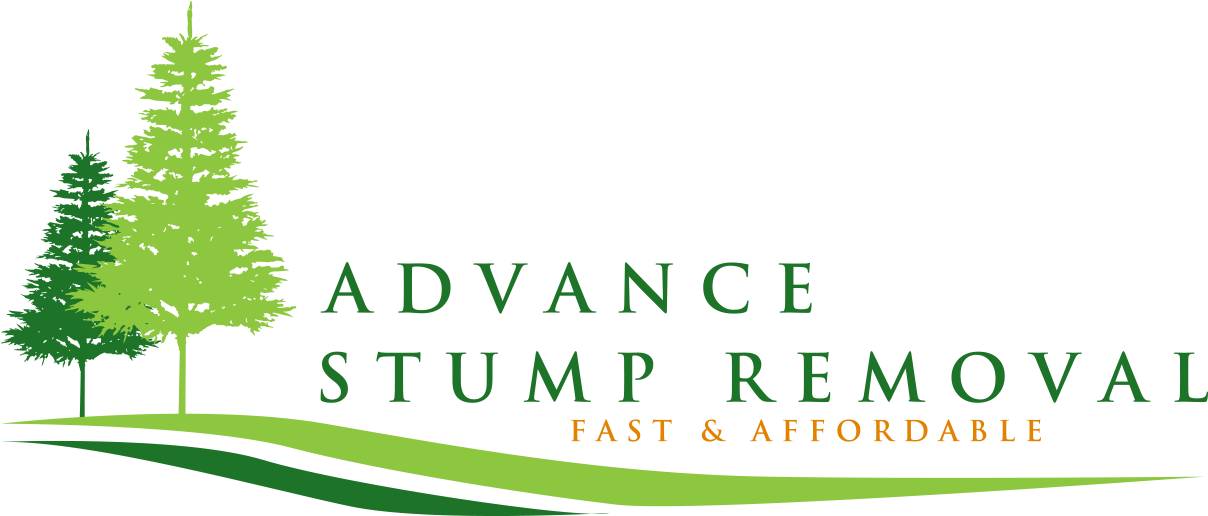 Advance Stump Removal - Christmas Tree (2000x535), Png Download