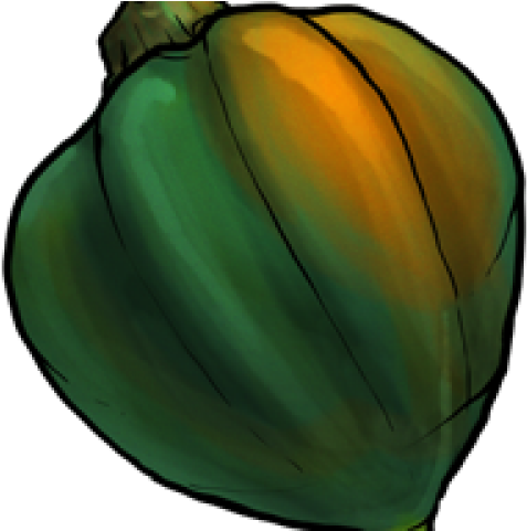 Zucchini Clipart Gourd - Acorn Squash (640x480), Png Download