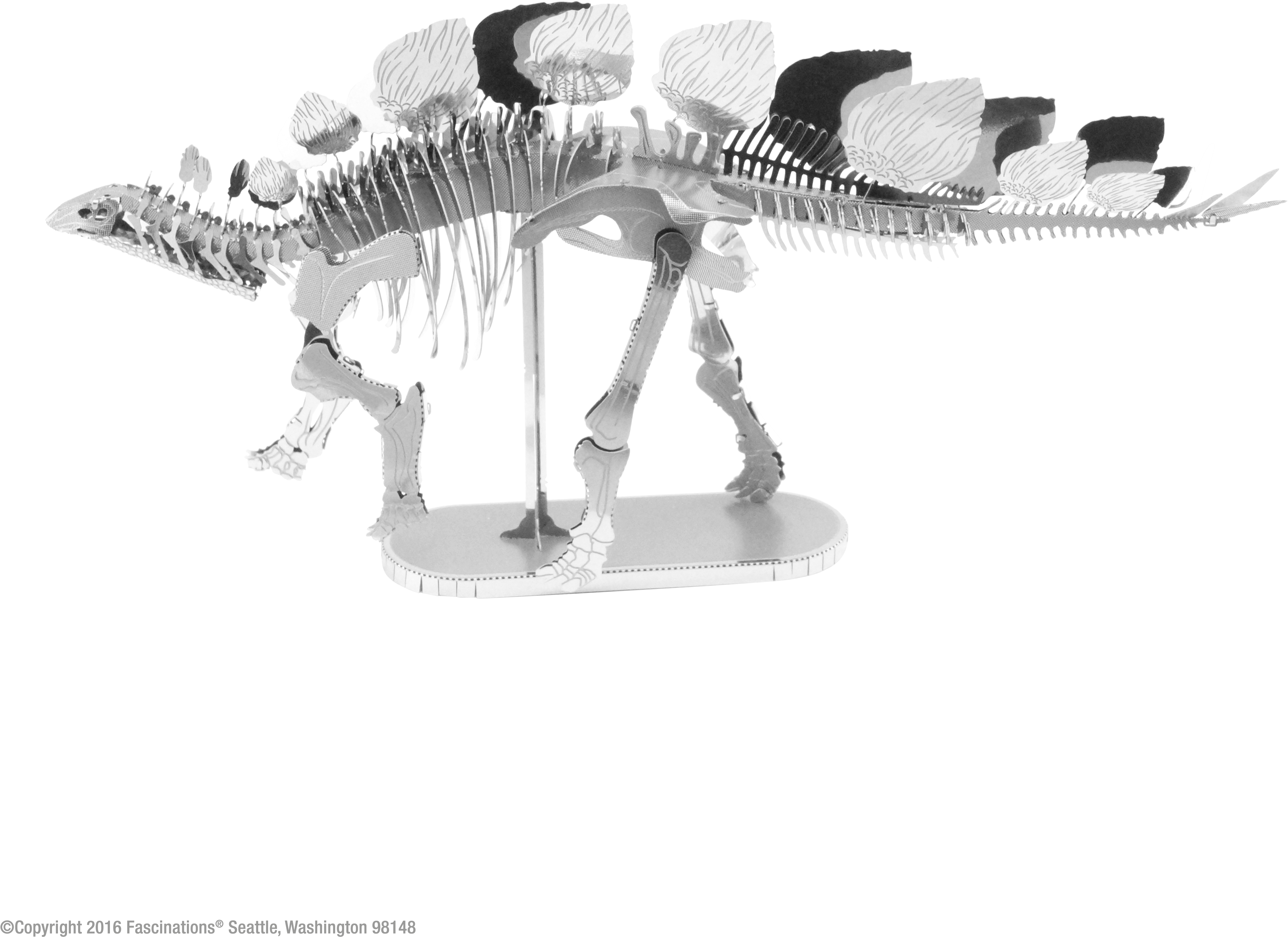 Stegosaurus Skeleton (4912x4912), Png Download