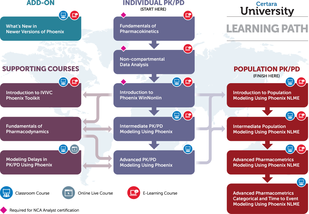 What Course Should I Take - Carnaval Porto Seguro 2012 (1070x741), Png Download