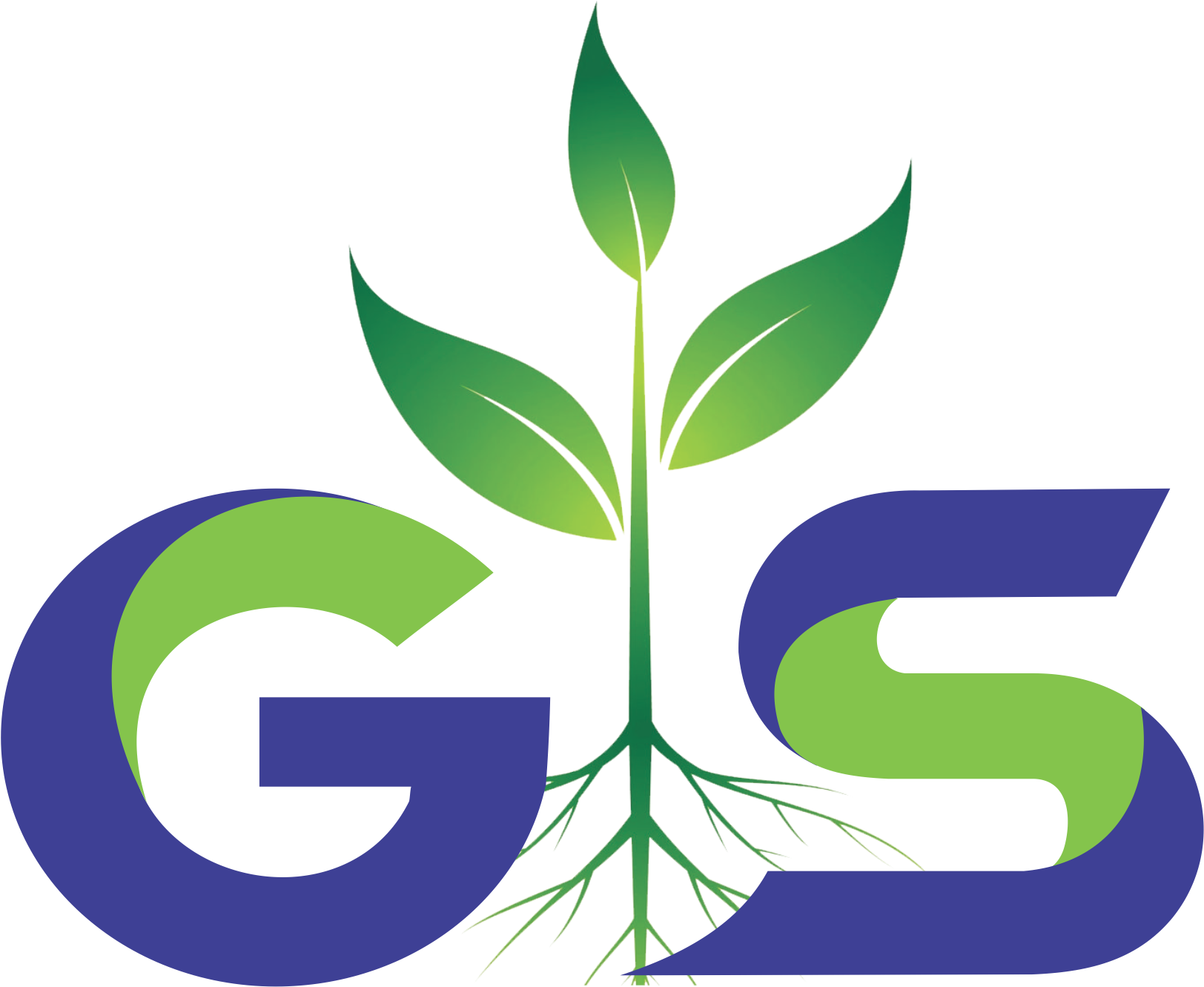 Responsive - Plant (2634x2184), Png Download