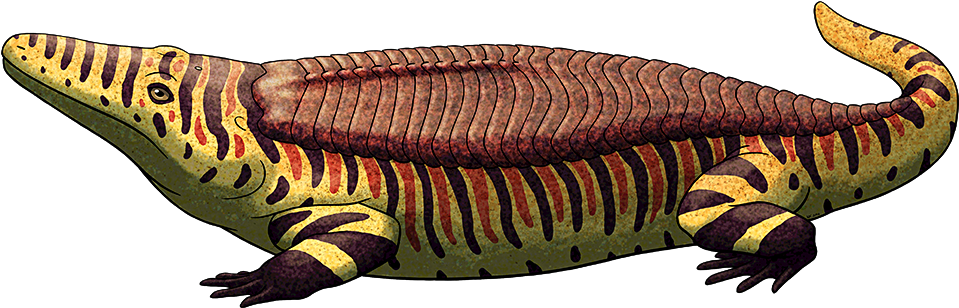 Crocodilian Like Armor Is Known To Have Evolved Naturally - Amphibian Speculative Evolution (1000x347), Png Download