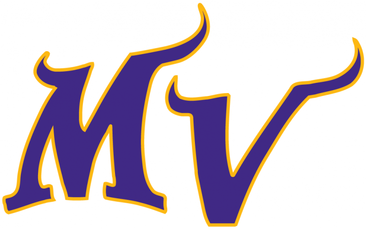 Minnesota Vikings Iron On Stickers And Peel-off Decals - Mv Logos Hope (750x930), Png Download