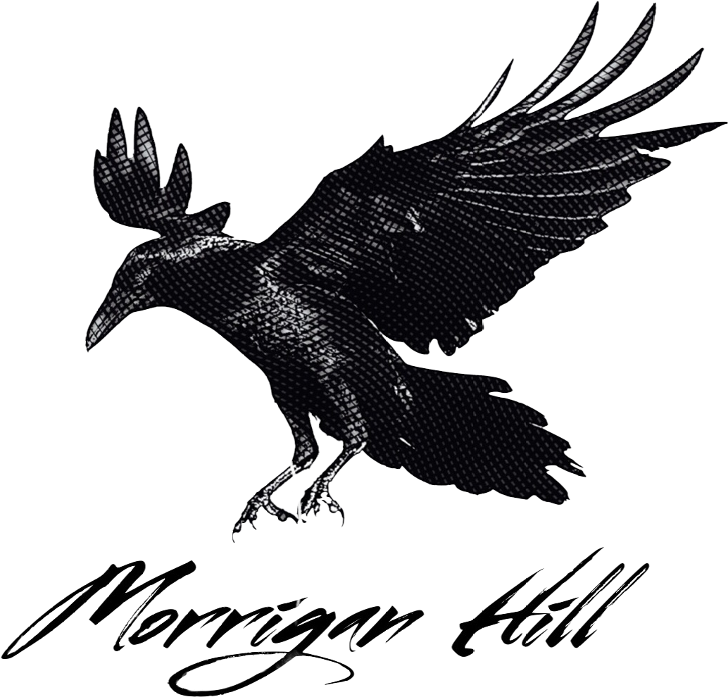 Download Crow Landing Full Size PNG Image PNGkit