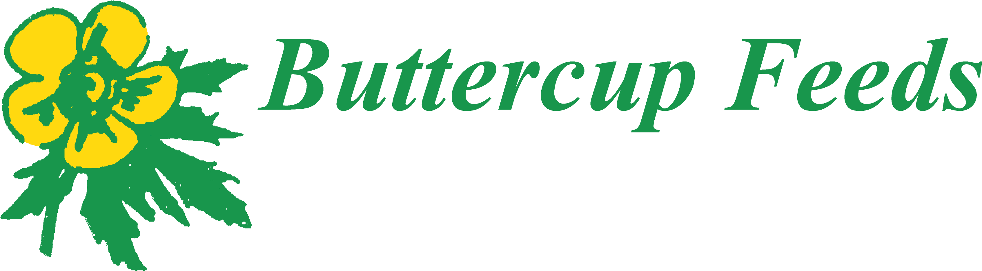 You Name It We Can Feed It - Airline Ticket (3388x949), Png Download