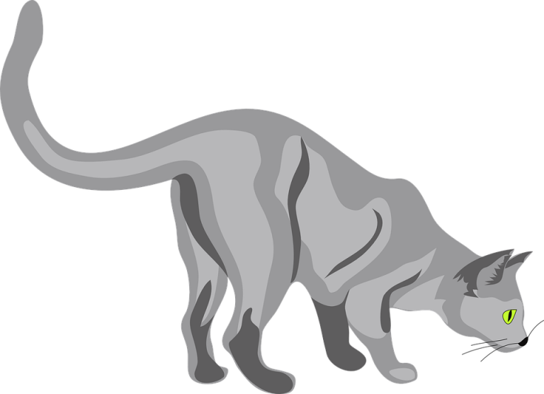Cat Clip Art (768x556), Png Download