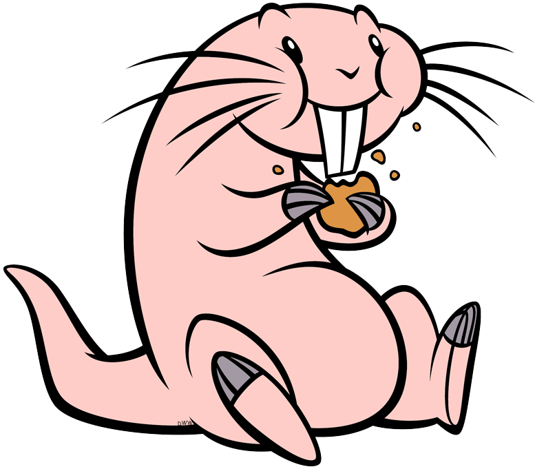 Rufus Eating A Cookie - Rufus Kim Possible Transparent (777x681), Png Download