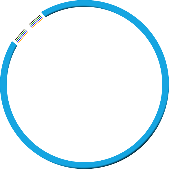Penn State Dubois It Club - (totalfitness) Stt186 (584x584), Png Download
