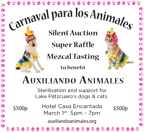 Carnaval Para Los Animales, A Silent Auction And Raffle - "living With Fran" (2005) (603x549), Png Download