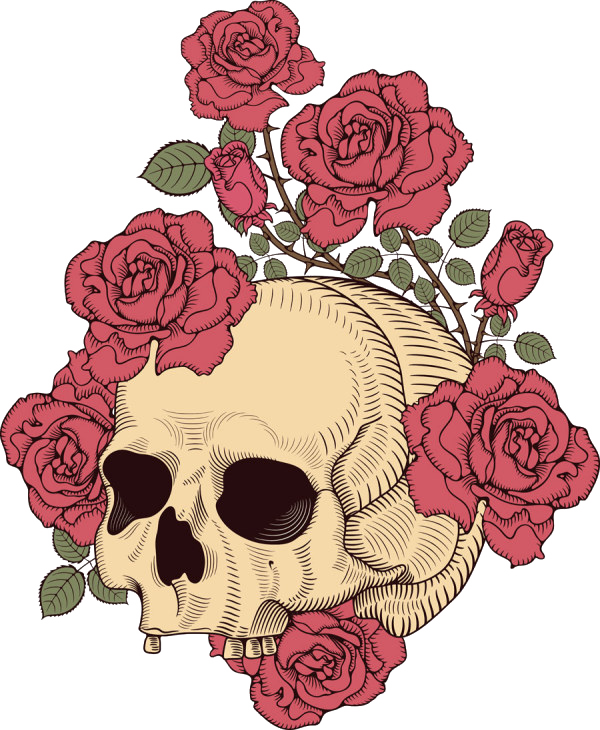 And Skull Rose Illustration T-shirt Design Human Clipart - Skull And Rose Illustration (600x730), Png Download