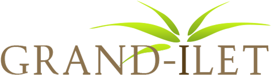 Research Topics For College Students - Graphic Design (1500x513), Png Download