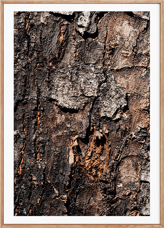 Quadros - Picture Frame (600x806), Png Download