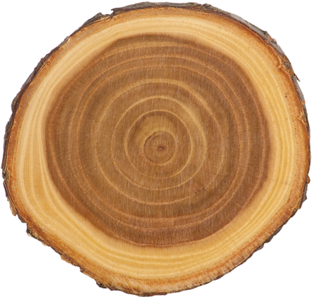 Old West Log Elmwood - Elmwood Log (600x600), Png Download