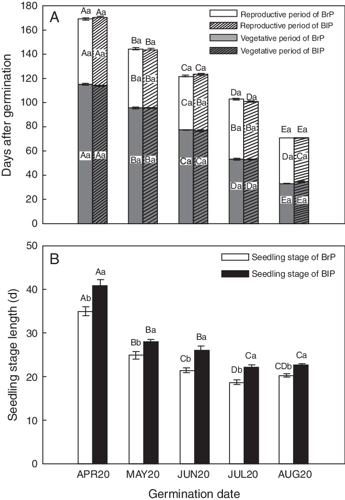 Effects Of Germination Date And Seed Type On Length - Diagram (684x990), Png Download