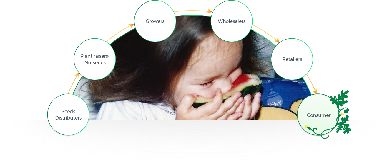 Origene Seeds Lead To A Significant Contribution For - Cartoon (1315x570), Png Download