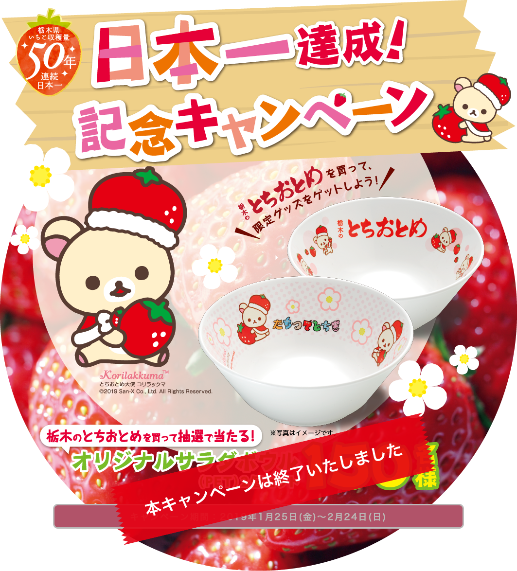 日本一達成！記念キャンペーン - Rilakkuma (1063x1174), Png Download