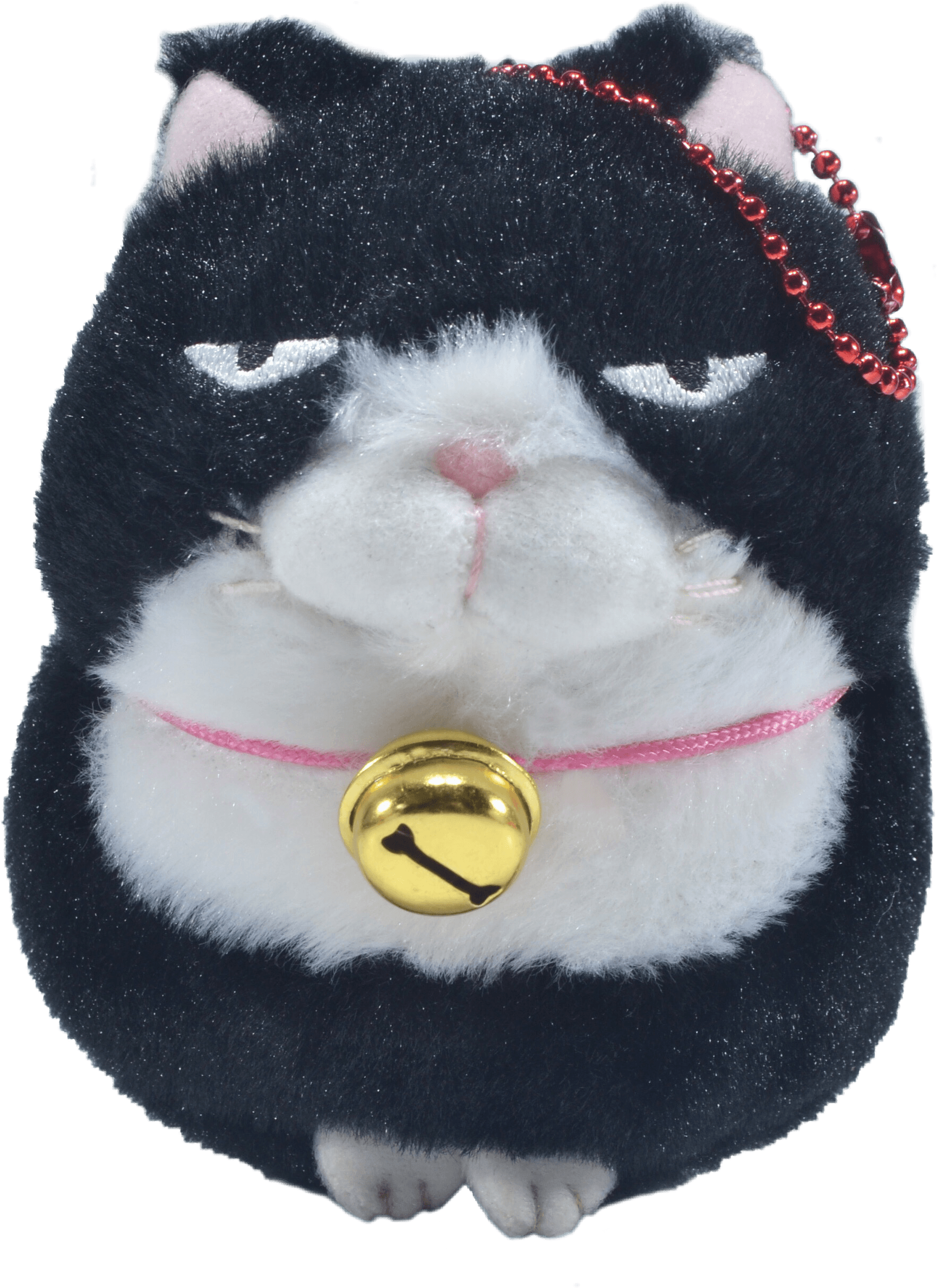 Momoiro Market - Exotic Shorthair (3072x3072), Png Download