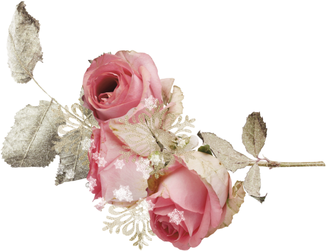 Flower Garden Clip Art Transprent Png Free - Зимняя Картинка На Прозрачном Фоне (650x502), Png Download