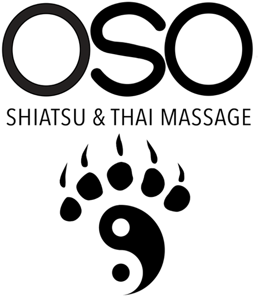 Oso Vector Edited - Graphic Design (600x732), Png Download