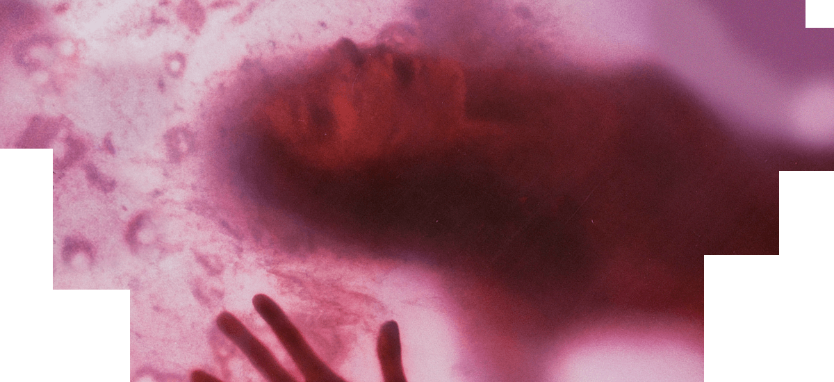 The Blob - Blob 1988 (1200x550), Png Download