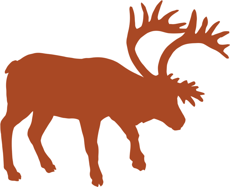 Mountain Caribou - Illustration (800x800), Png Download