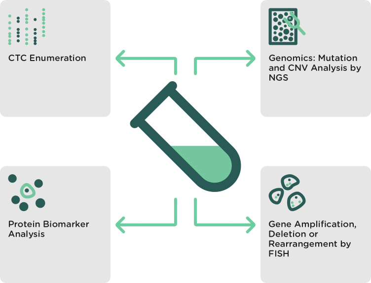 Ctc Detect Charact 2x - Epic Sciences Ctc Platform (752x575), Png Download
