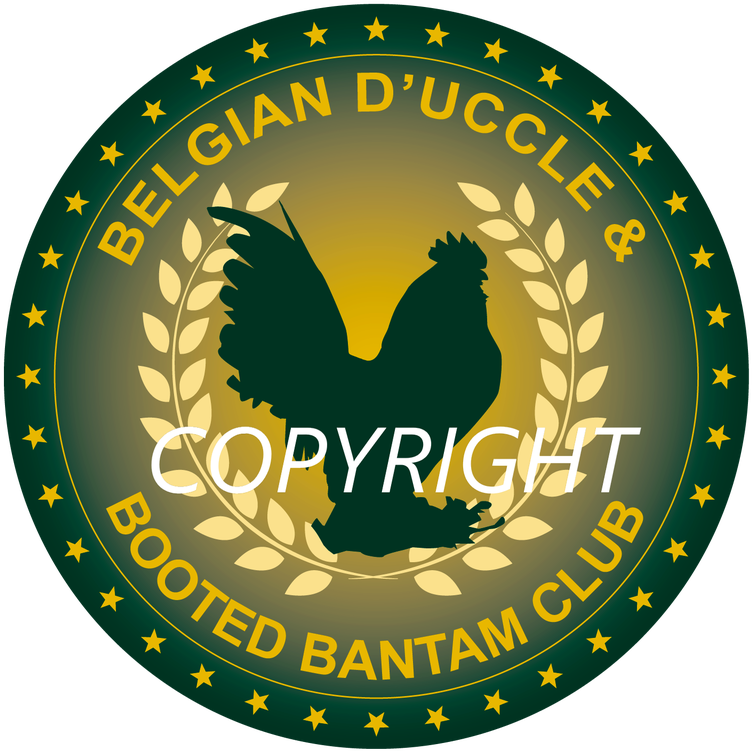 Picture - Circle (800x800), Png Download