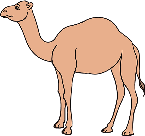 680 X 678 6 - Draw A Camel (680x678), Png Download