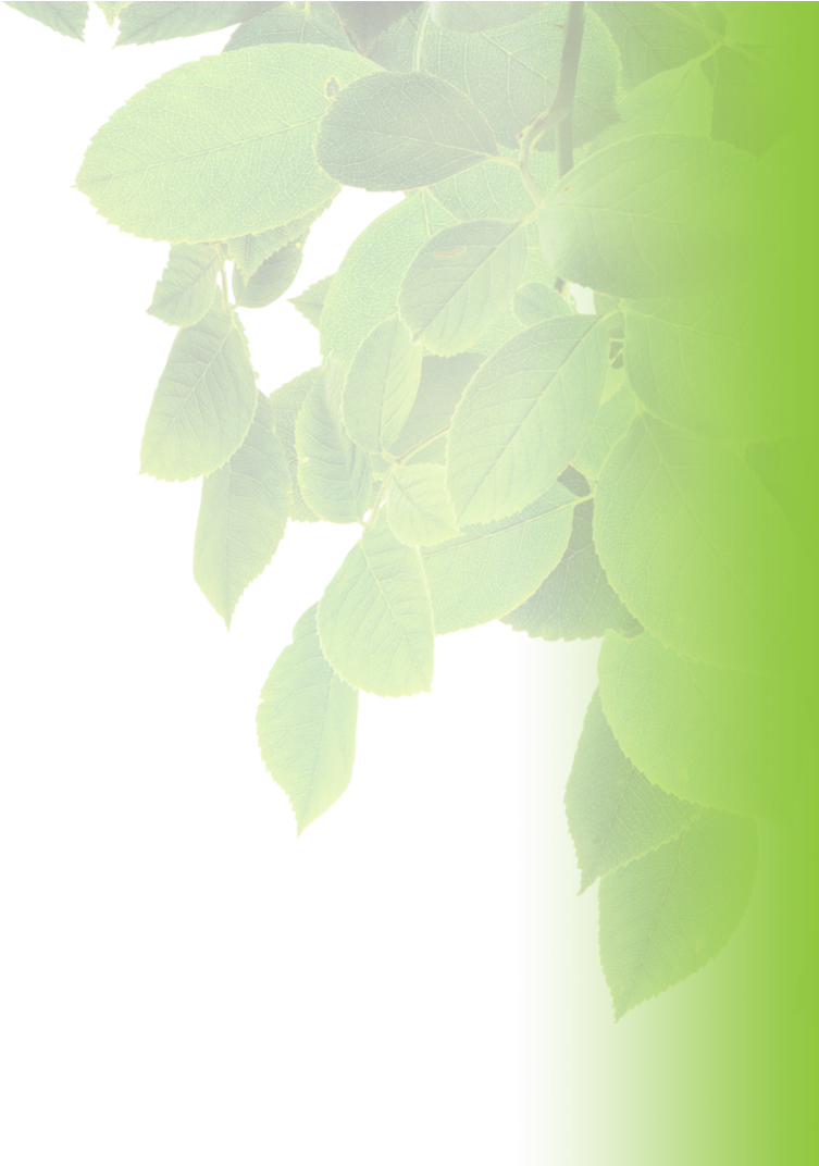 Secrets & Characteristics - Shadow (996x1071), Png Download