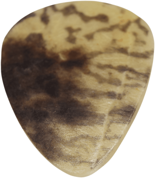 Real Turtle Shell Guitar Pick Tortoise Shell Guitar - Percussion (539x620), Png Download