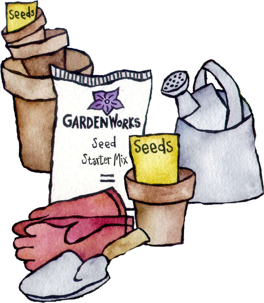 Garden Supplies - Cartoon (1114x1250), Png Download